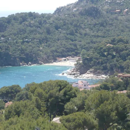 Bravaholidays-320-condal Apartment Blanes