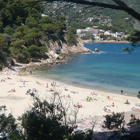 Bravaholidays-320-condal
