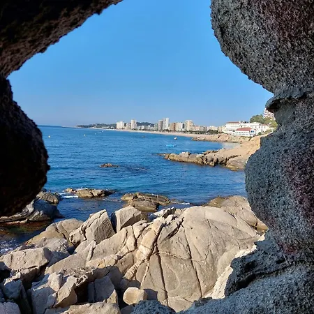Bravaholidays-320-condal Blanes