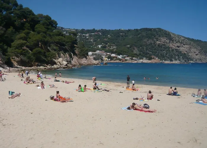Bravaholidays-320-condal * Blanes