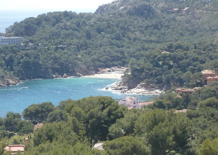 Bravaholidays-320-condal Apartment Blanes