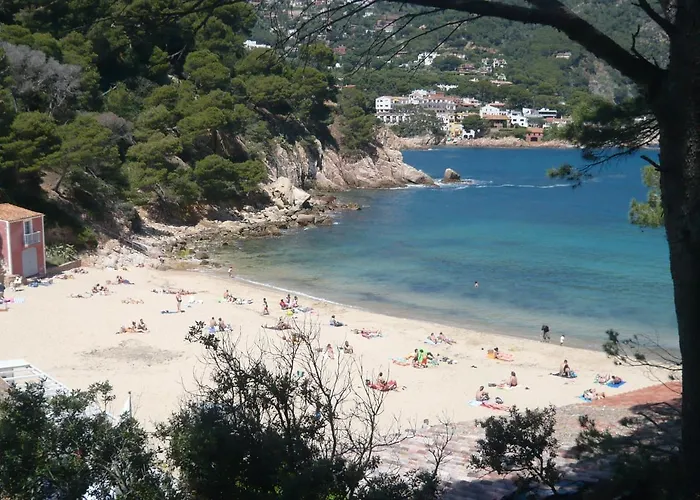 Bravaholidays-320-condal