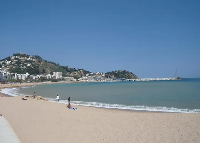 Apartment Bravaholidays-320-condal *