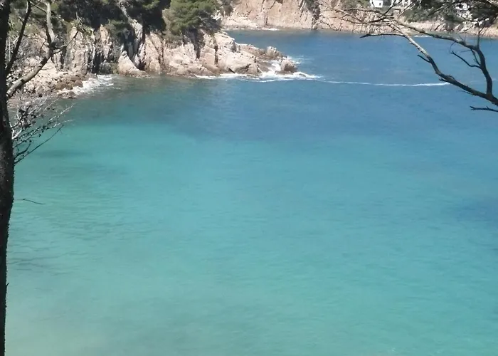 Apartment Bravaholidays-320-condal Blanes