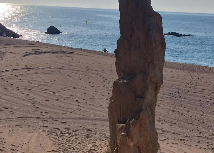 Apartment Bravaholidays-320-condal Blanes