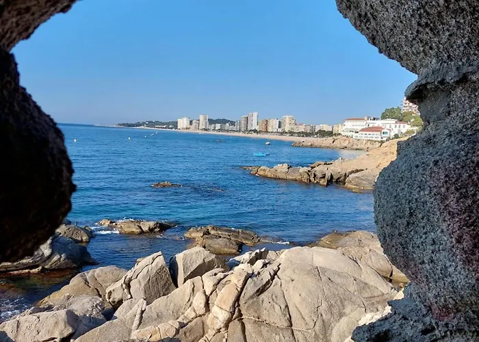 Bravaholidays-320-condal Blanes